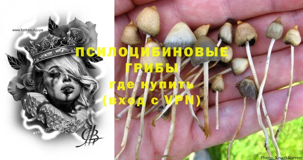 прущая мука Медвежьегорск