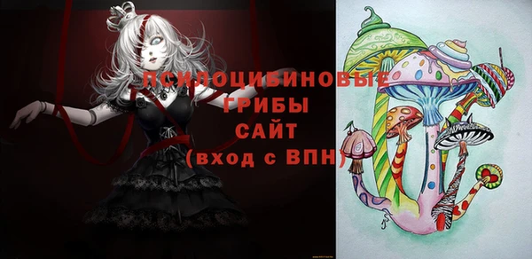 прущая мука Медвежьегорск